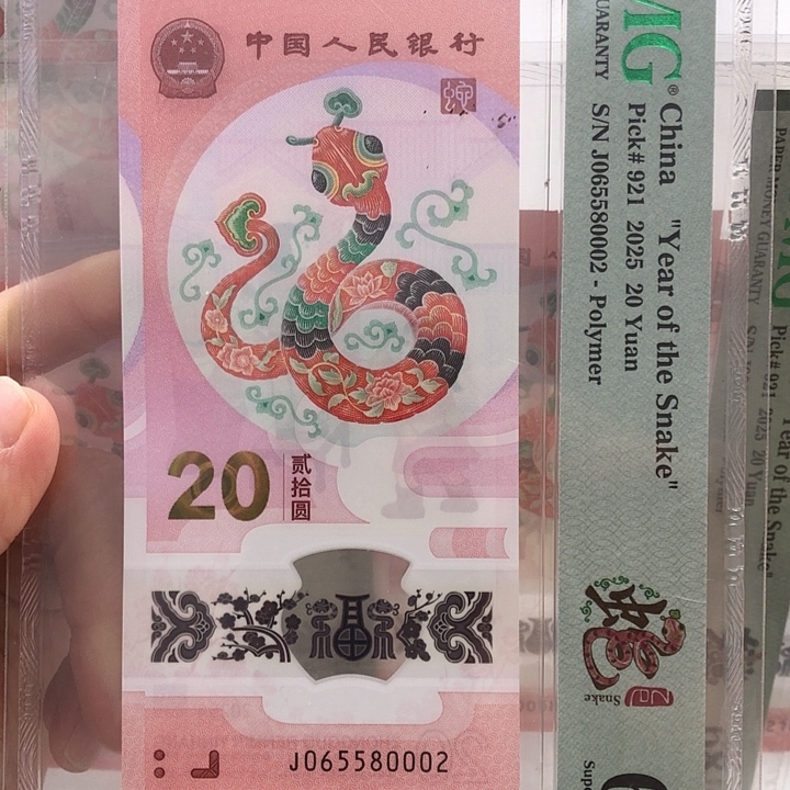 塑料065580002豹子号 如意王