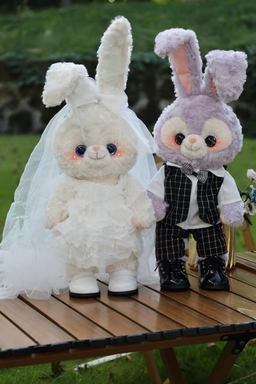 毛绒玩具女生2025礼物新款 （需备注编号）