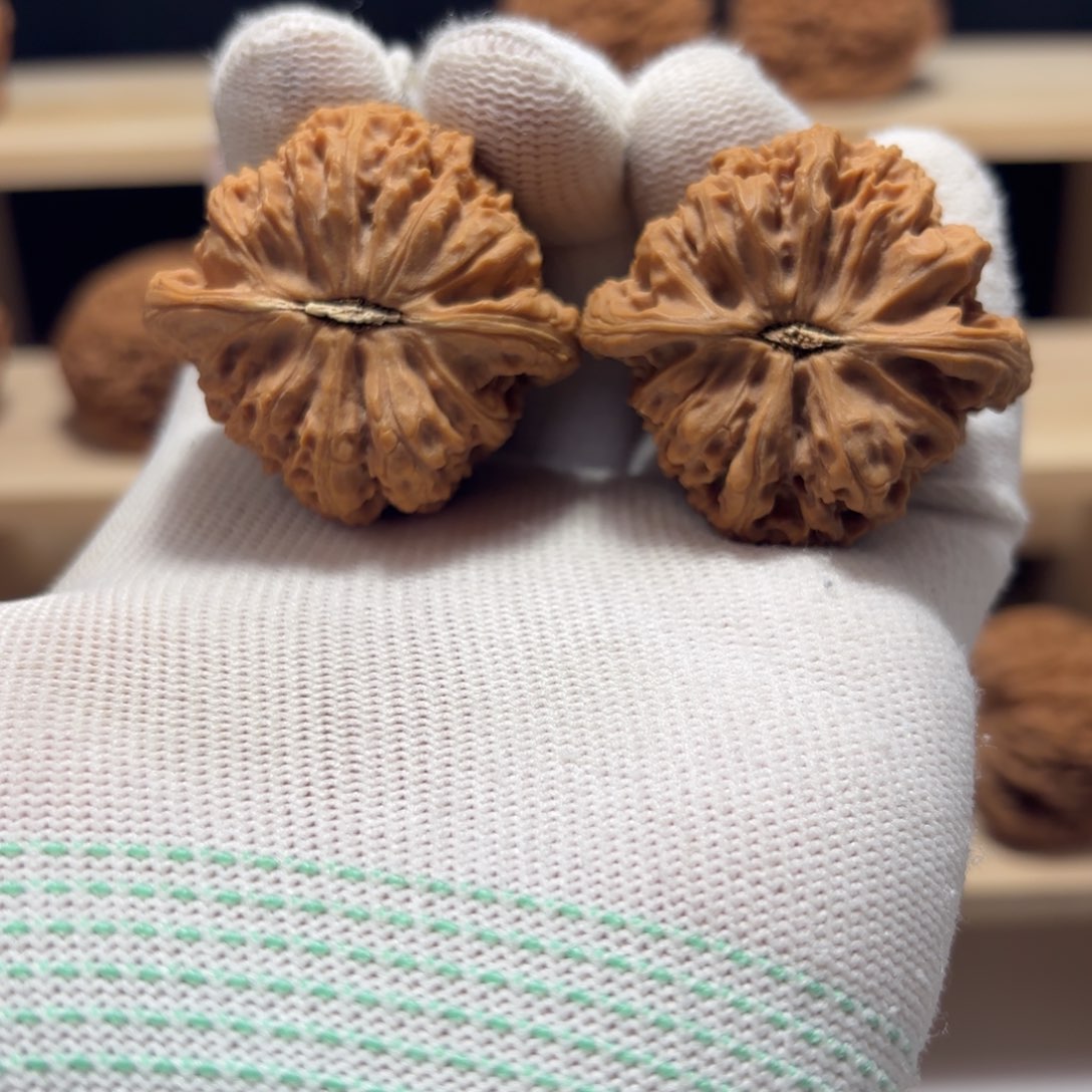 文玩核桃把件M**涿鹿南将微瑕疵39