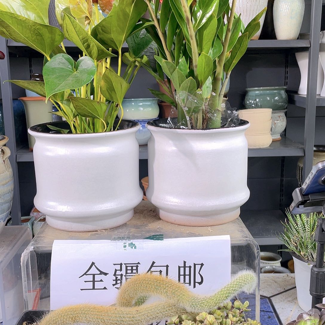 粗陶大花盆两个装啊