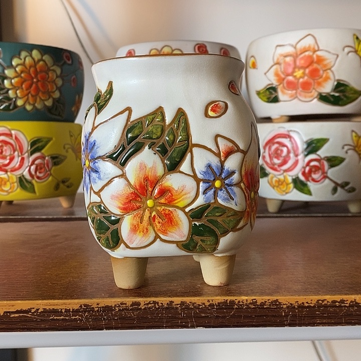 韩式多肉植物花盆