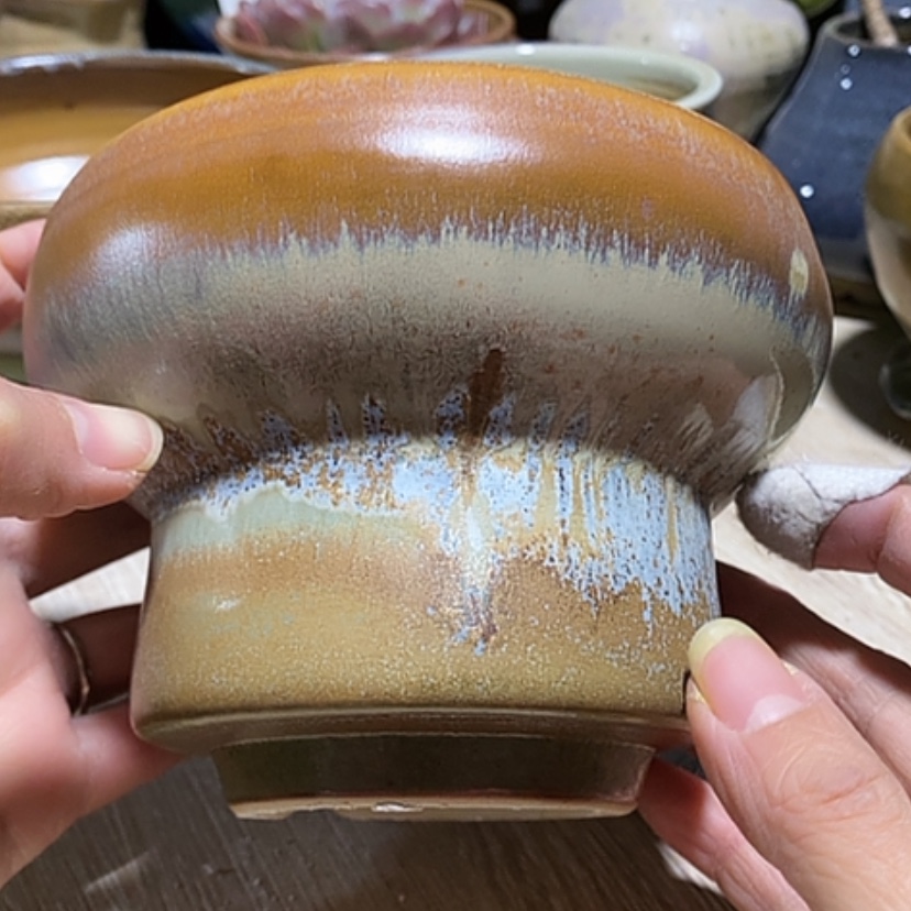 【闪购商品】红陶口12.5
