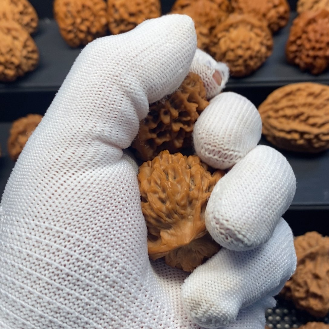 手串/手链核桃秦岭森林中含有较低活性