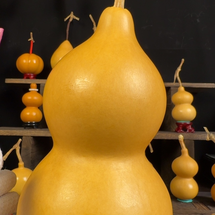 西***华大叶紫檀（黑酸枝木类）