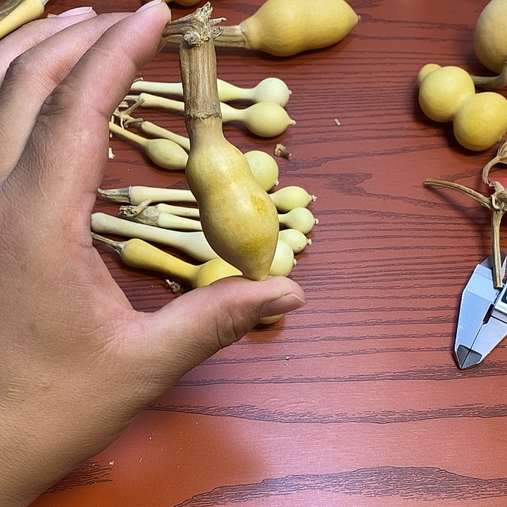 M***r手把精品文玩葫芦