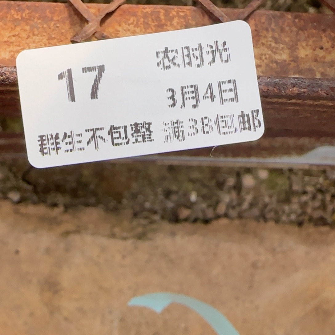 【闪购商品】0304-17（fm-20-2）专拍