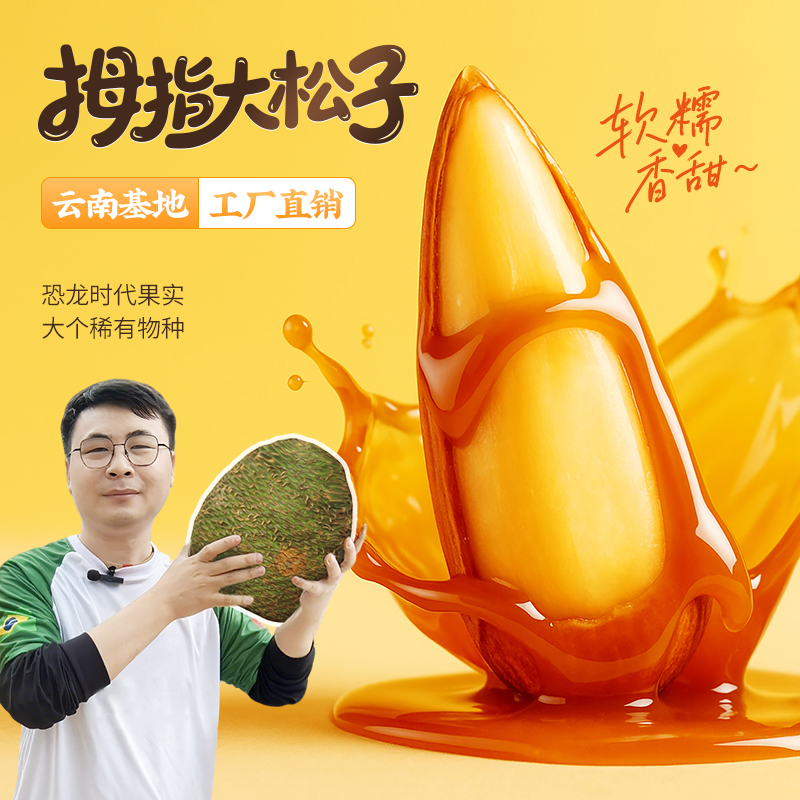 【全新】巴拉那松松子 拇指大松子 松子有拇指大  送人送礼 