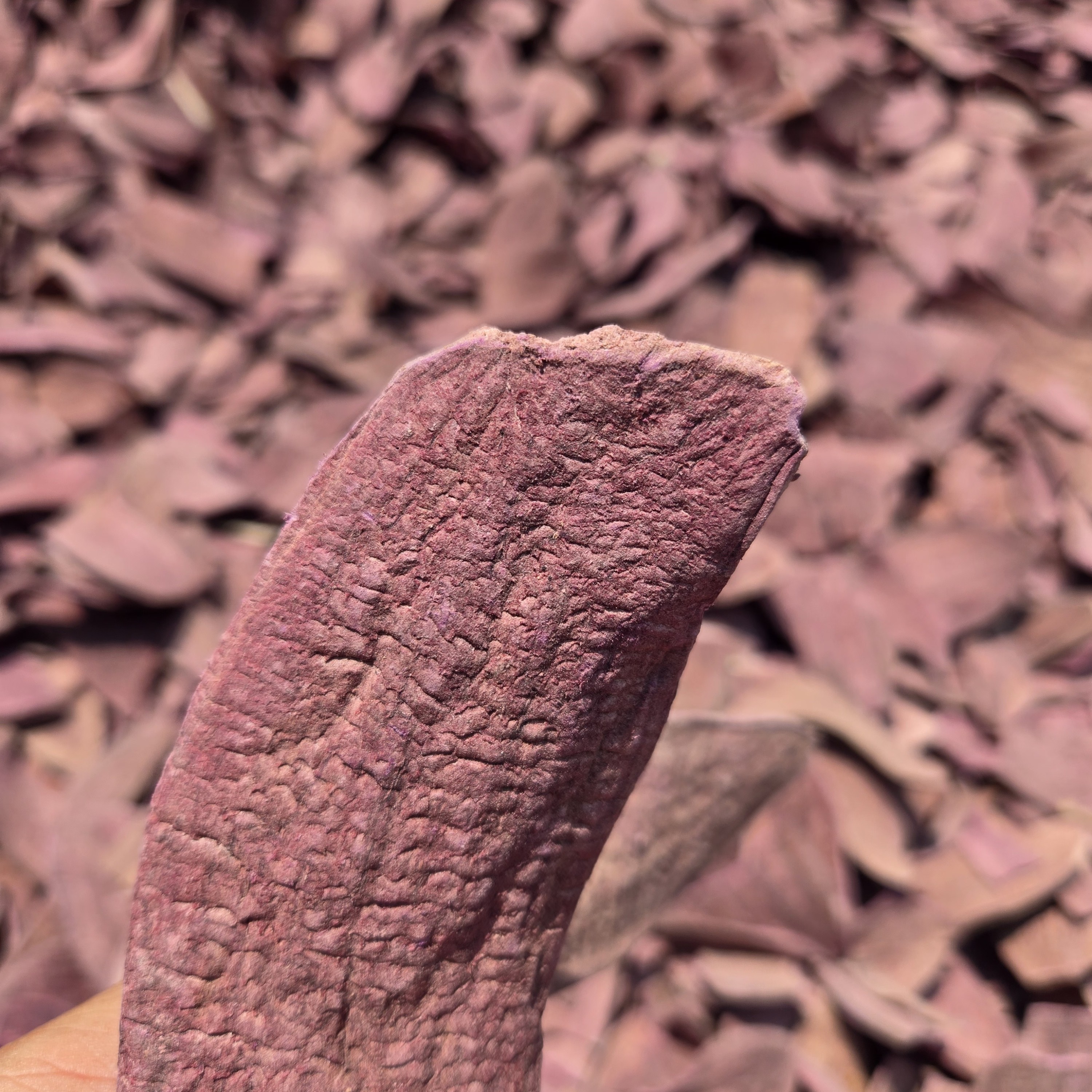 农户自采自晾紫薯干晒干可搭配枸杞煲汤