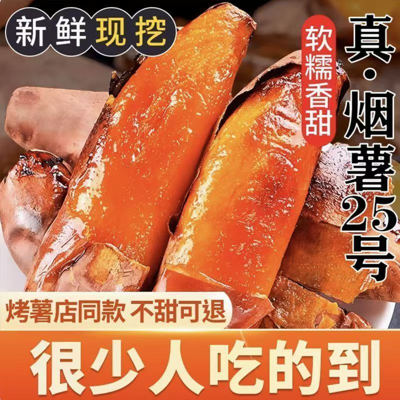 烟薯正宗25沙地红薯流油新鲜现挖地瓜番薯农家山芋烟薯25号辽宁省烟薯25号辽宁省