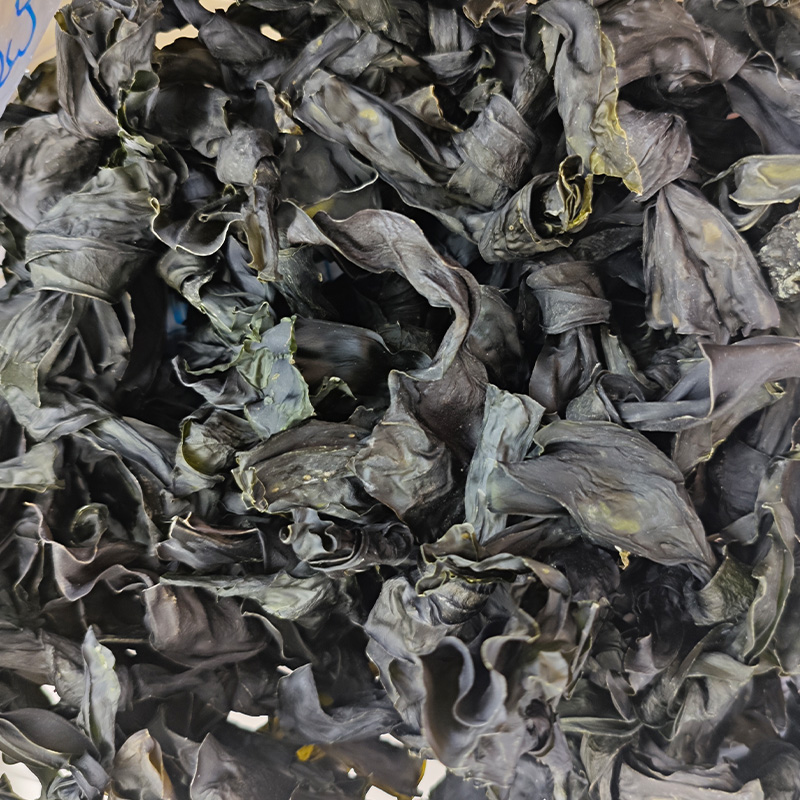 海带扣 海带干货 不咸