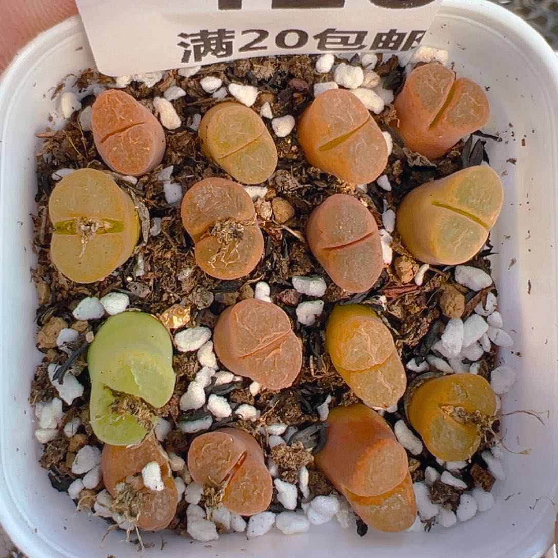 【闪购商品】410……