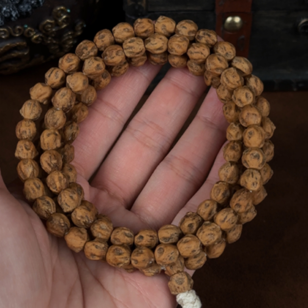 热振百香籽 红芽红油皮鬼脸高油密