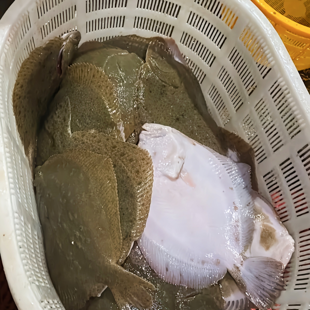 大号多宝鱼海鲜原条500g/条帮杀5条装真空包装顺丰包邮博贺港