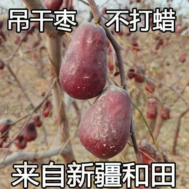 山海【新疆产地直发】和田大枣红枣肉厚核小饱满骏枣可煮粥煲汤a
