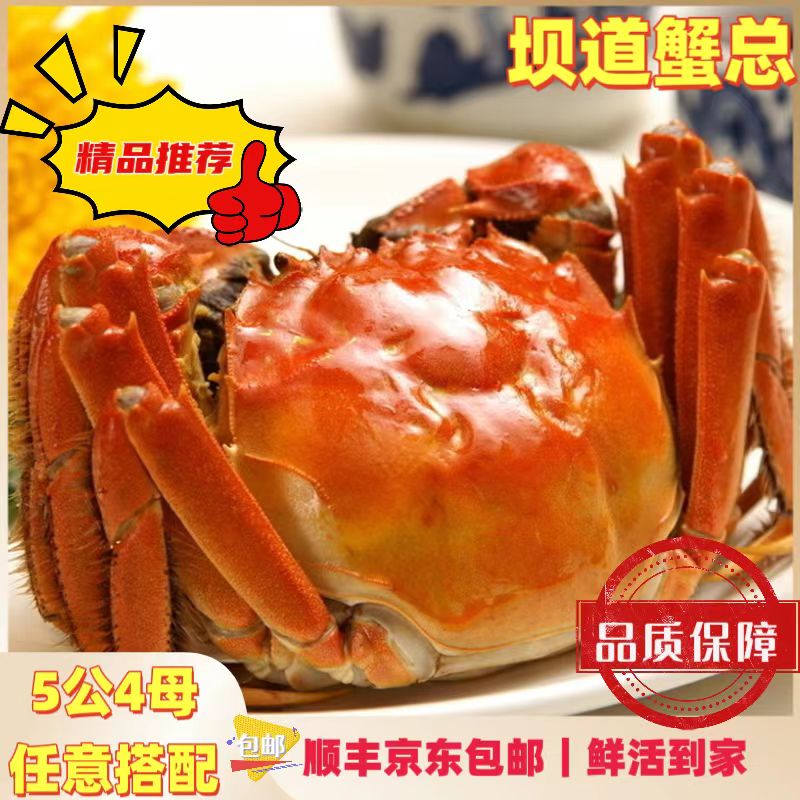 【活蟹】坝道蟹总精挑大蟹（公蟹5两/母蟹4两）公母任选8只装礼盒包装