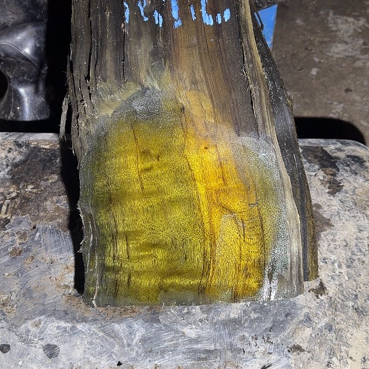 鹏***金丝楠金丝楠阴沉木