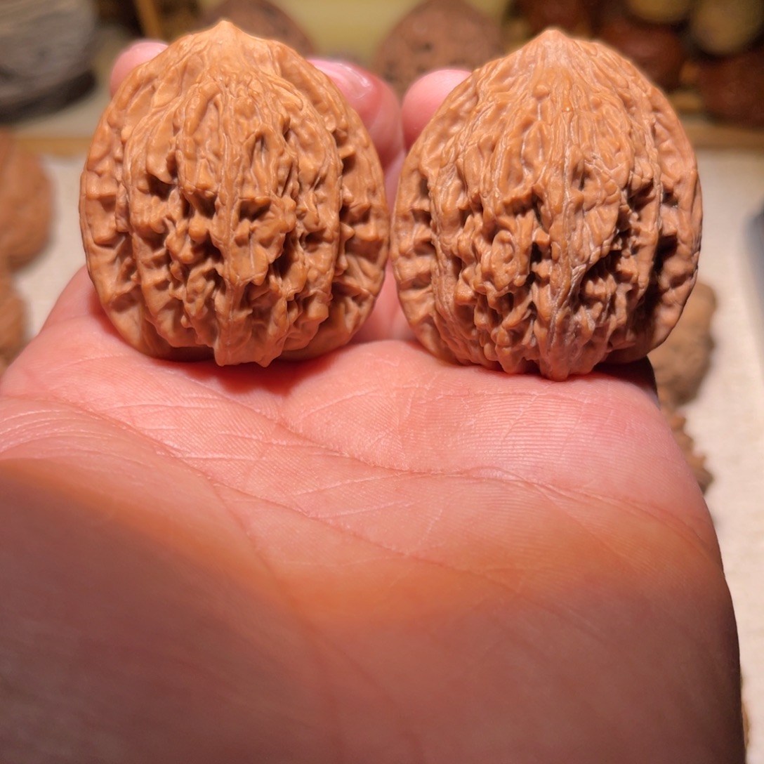 文玩核桃把件40堂虎福利