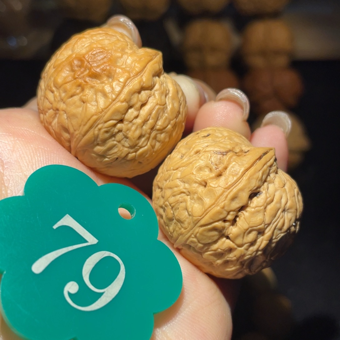 粗筋蛇皮元宝32尺寸核桃