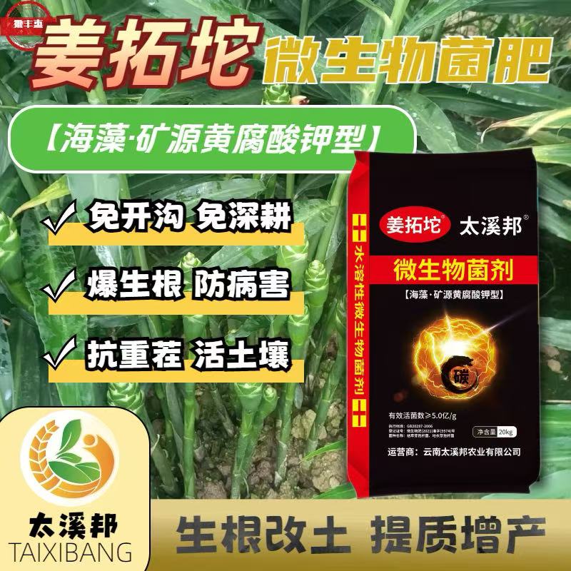 姜拓坨生物菌肥生姜底肥追肥微生物菌剂提质增产