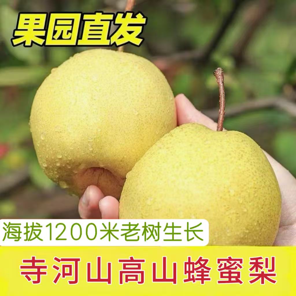 寺河山高山2025富硒蜂蜜梨新鲜酥梨脆甜多汁皮薄整箱包邮当季鲜果