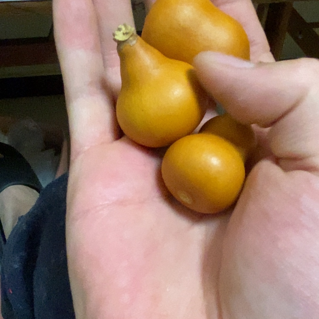 M***J葫芦啊啊啊啊啊啊啊啊啊啊啊啊