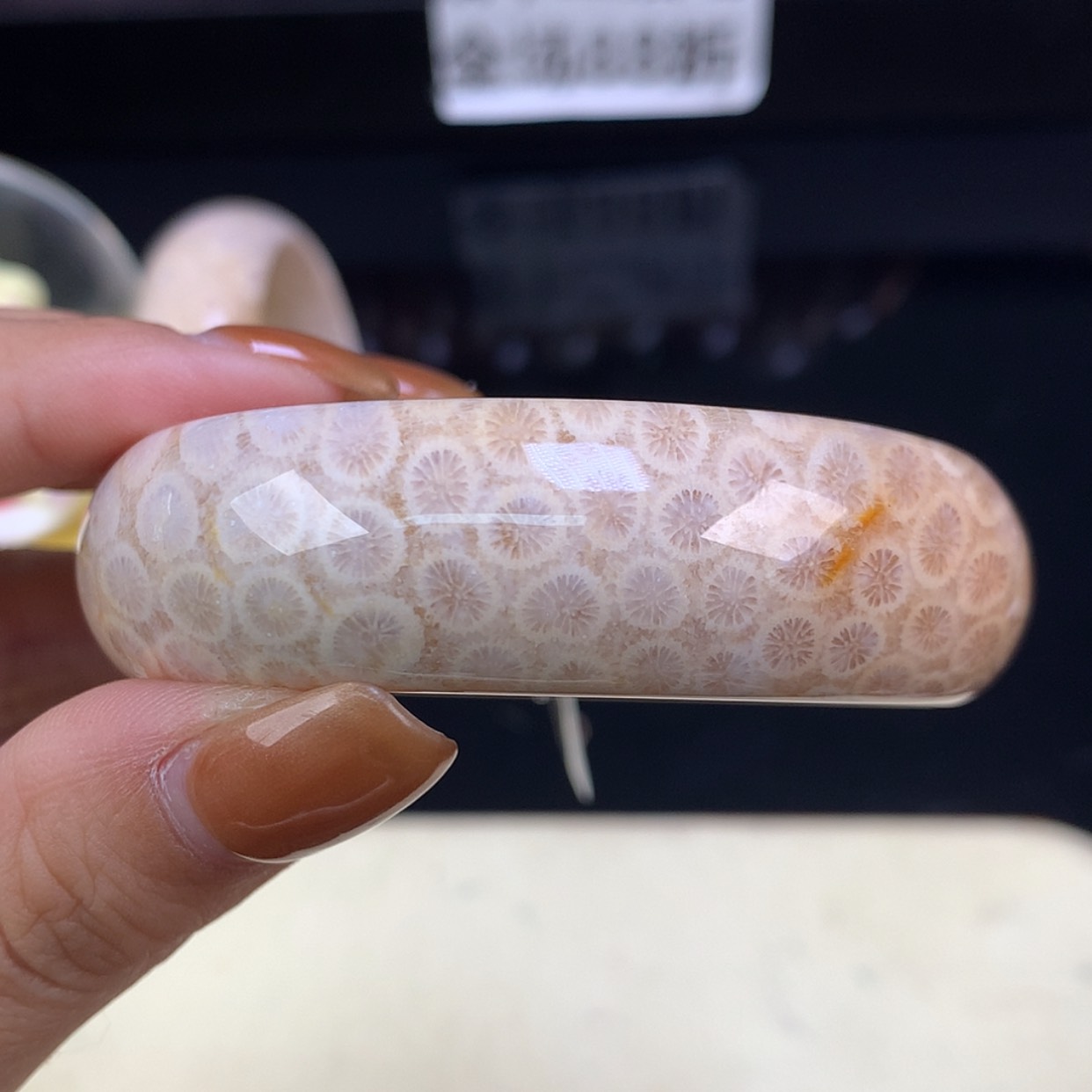 【闪购商品】颈饰未镶嵌硅化珊瑚（珊瑚玉）福利手镯53.1（34号）