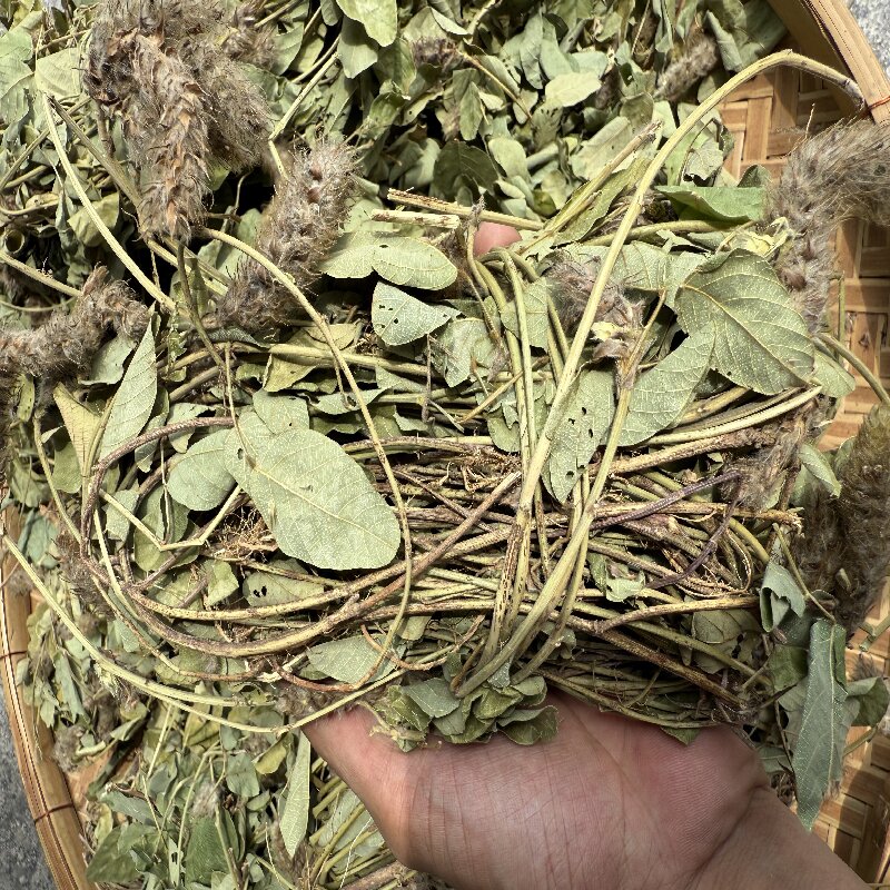  狸尾草煲汤煮水泡茶喝250克/500克