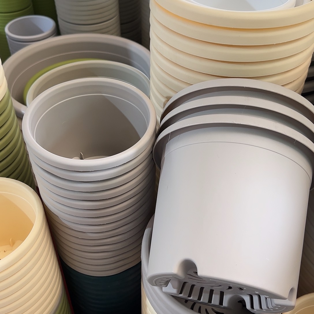 树脂四季3号无托10个灰白微瑕