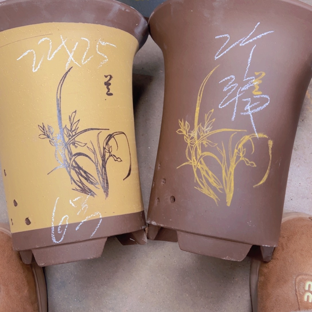 紫砂6号……………………………………