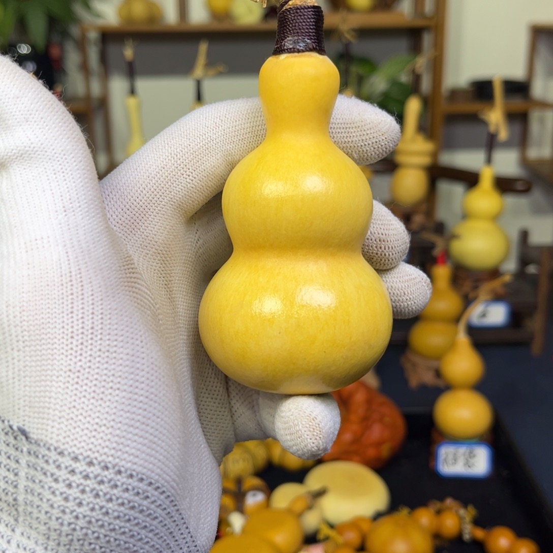 *****葫芦葫芦葫芦葫芦