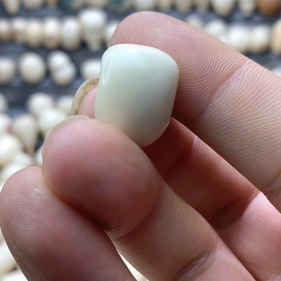 张***m菩提根/象牙果吊坠