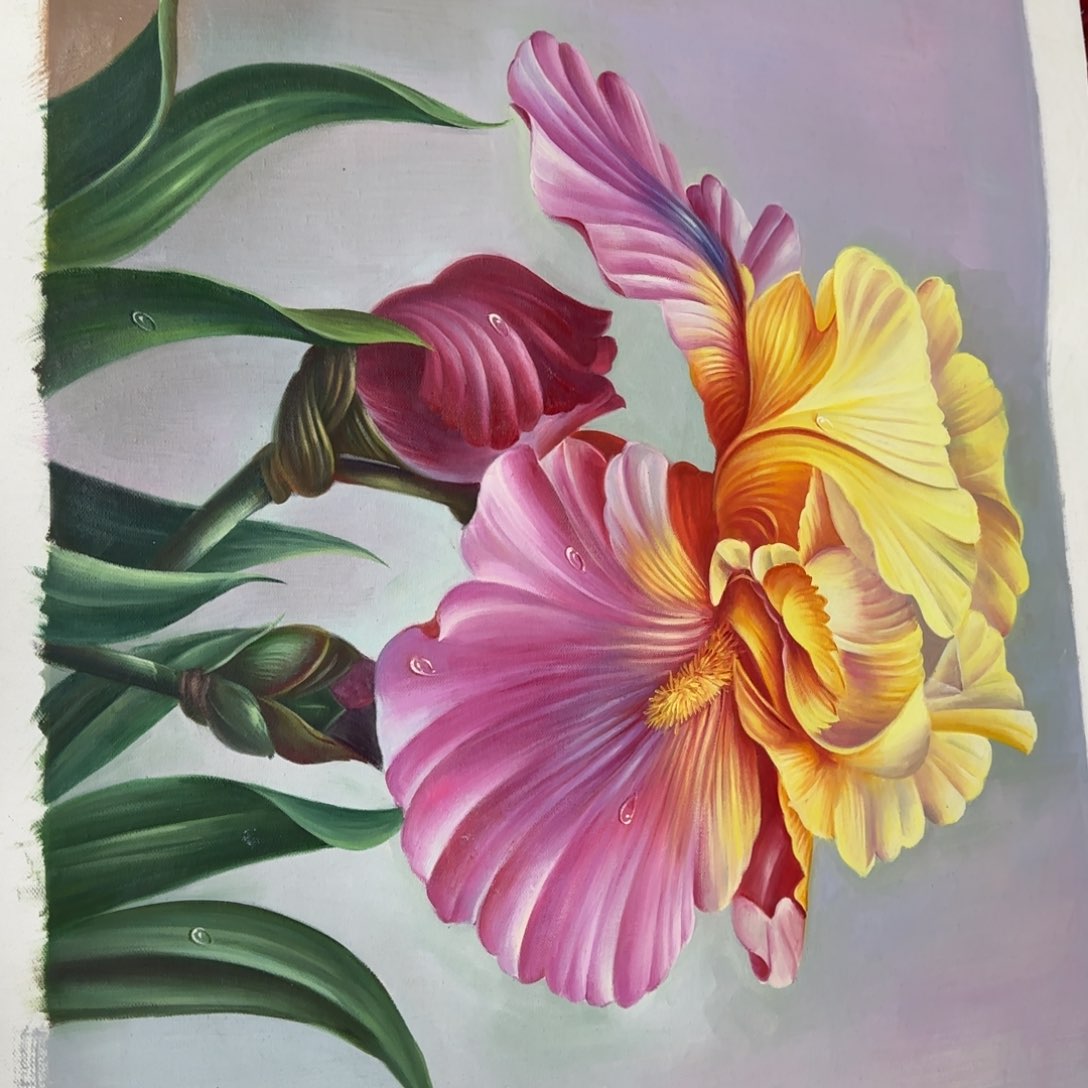 油画优惠活动开始