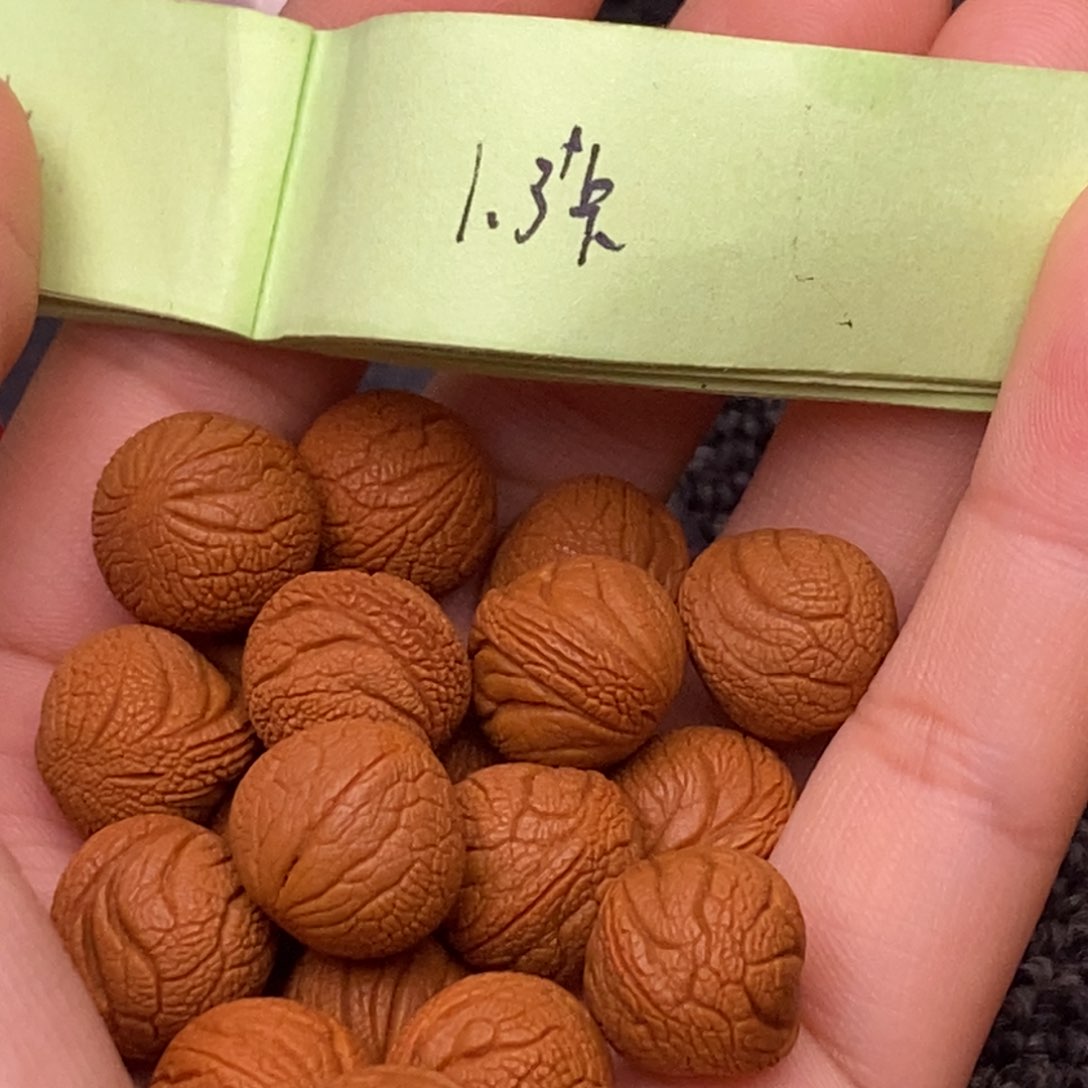 秦岭山脉龙纹桃核 18