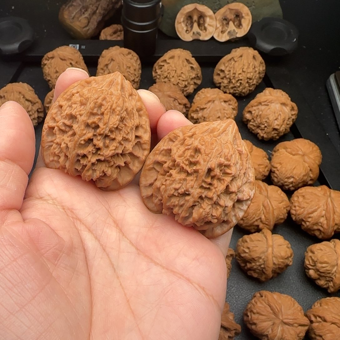 41尺微磕尖满天星