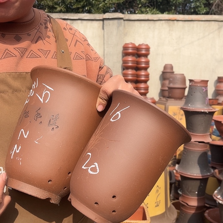 紫砂紫砂花盆盆栽