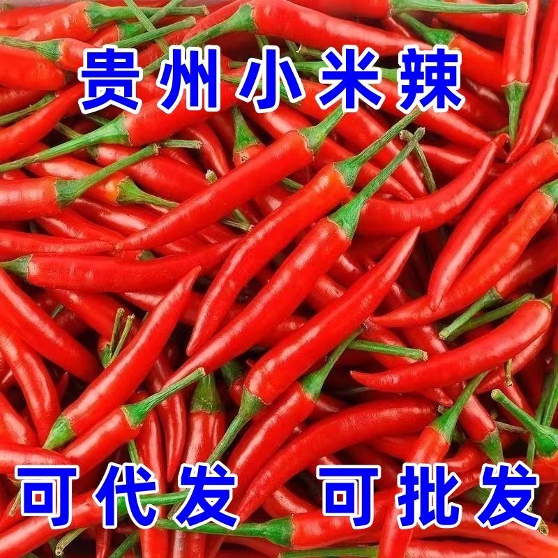 贵州小米辣新鲜现摘辣椒特辣朝天椒农业自种小尖椒TY