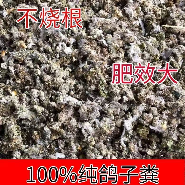 鸽厂直发纯干鸽粪5斤装有机肥料适用于花卉蔬菜果树促进生长