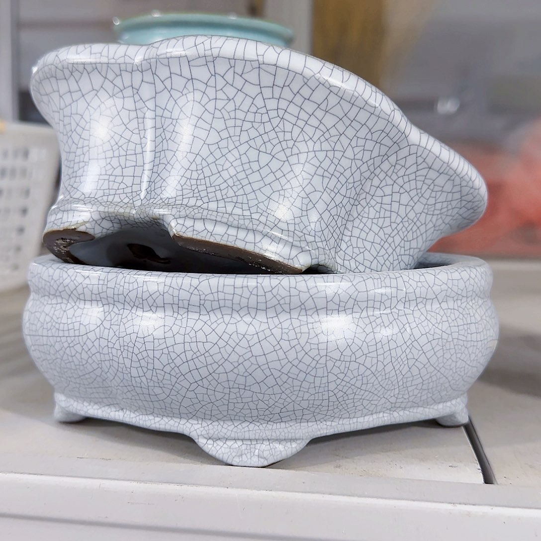 陶瓷花盆特价上新