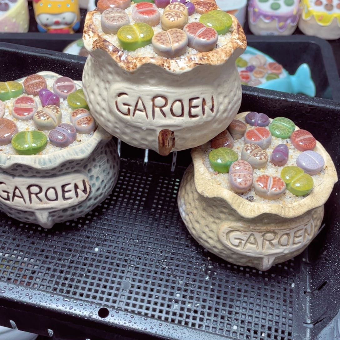 w9540-钱袋子，一份一盆量拍