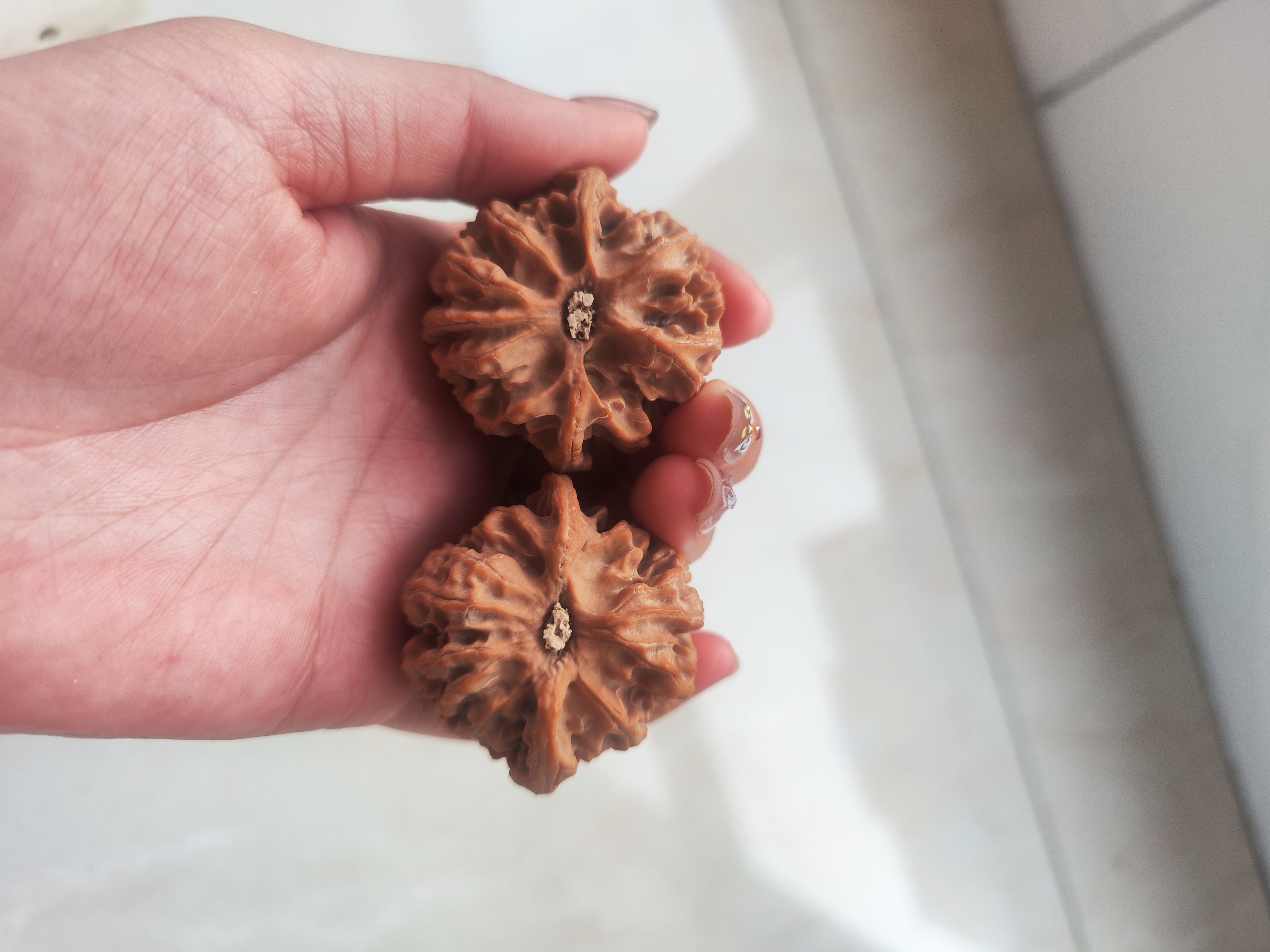 44尺山地苹果园文玩核桃