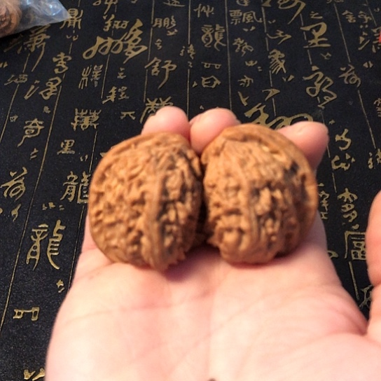 文玩核桃把件白狮