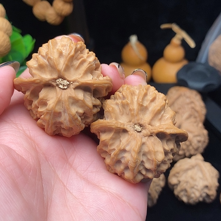 核桃苹果园狮子头