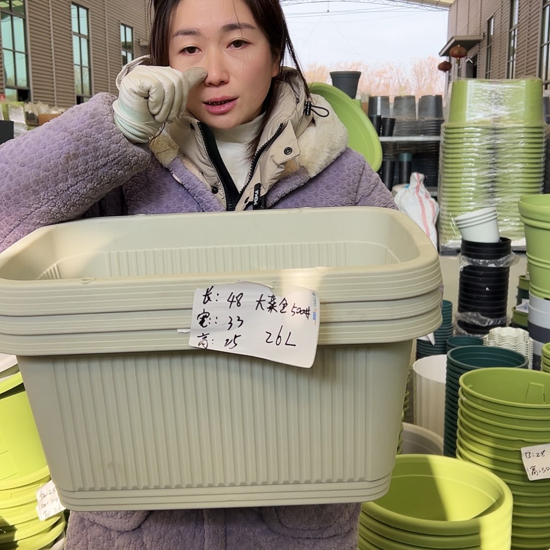 菜盆500#米白3个无托
