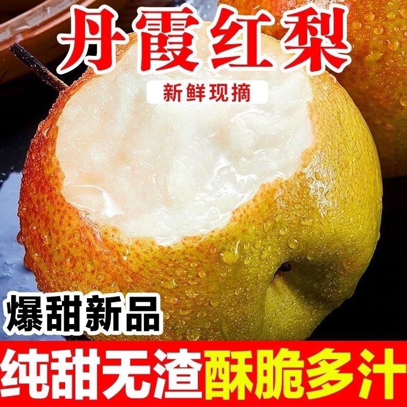 【京东生鲜专送】山西运城市丹霞红香梨脆甜可口汁水多整箱现发