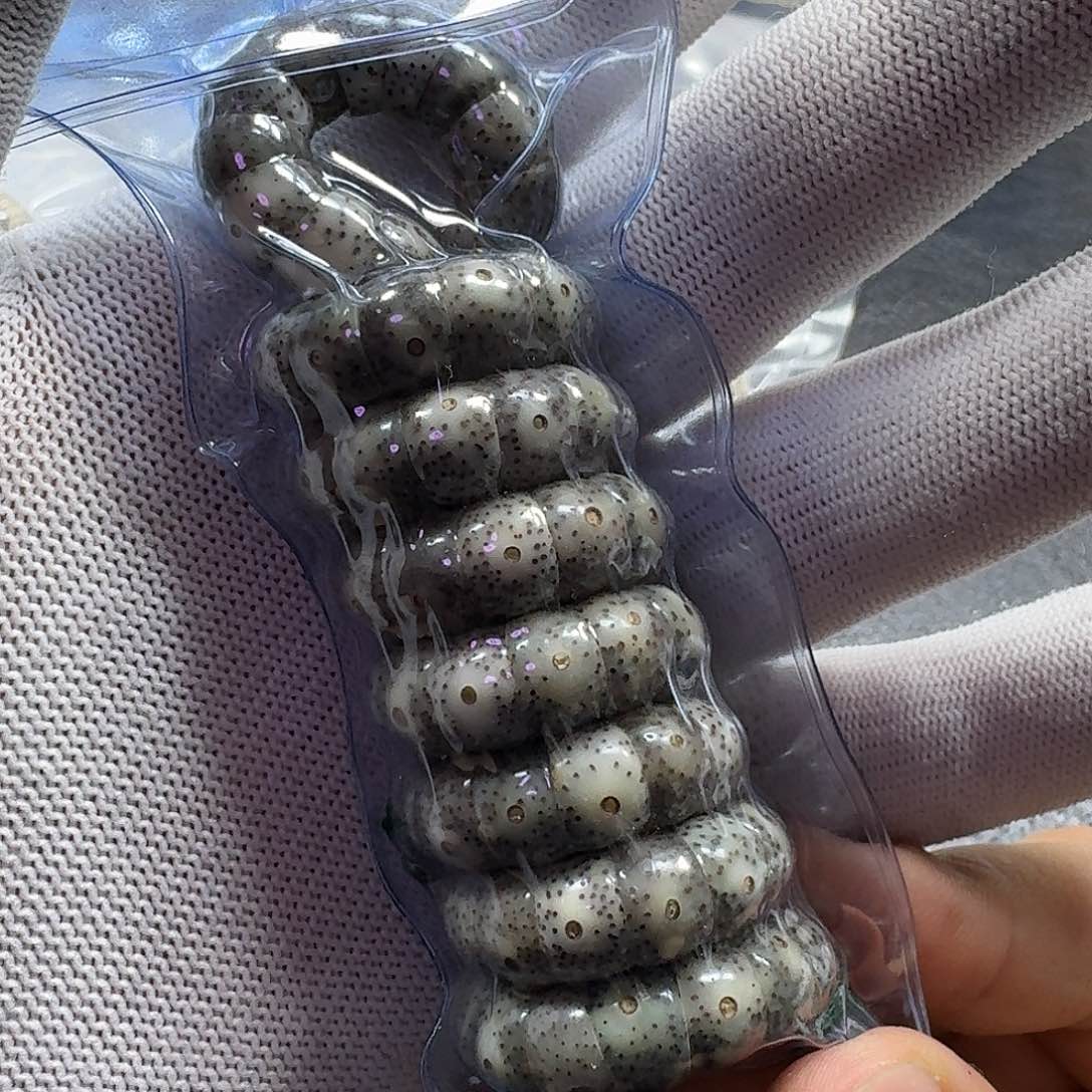 星月菩提手串星月菩提10mm石玉料大肠