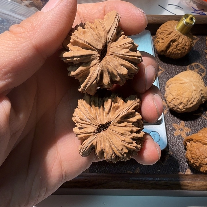 鱼****核桃全品无修蓟县四座楼