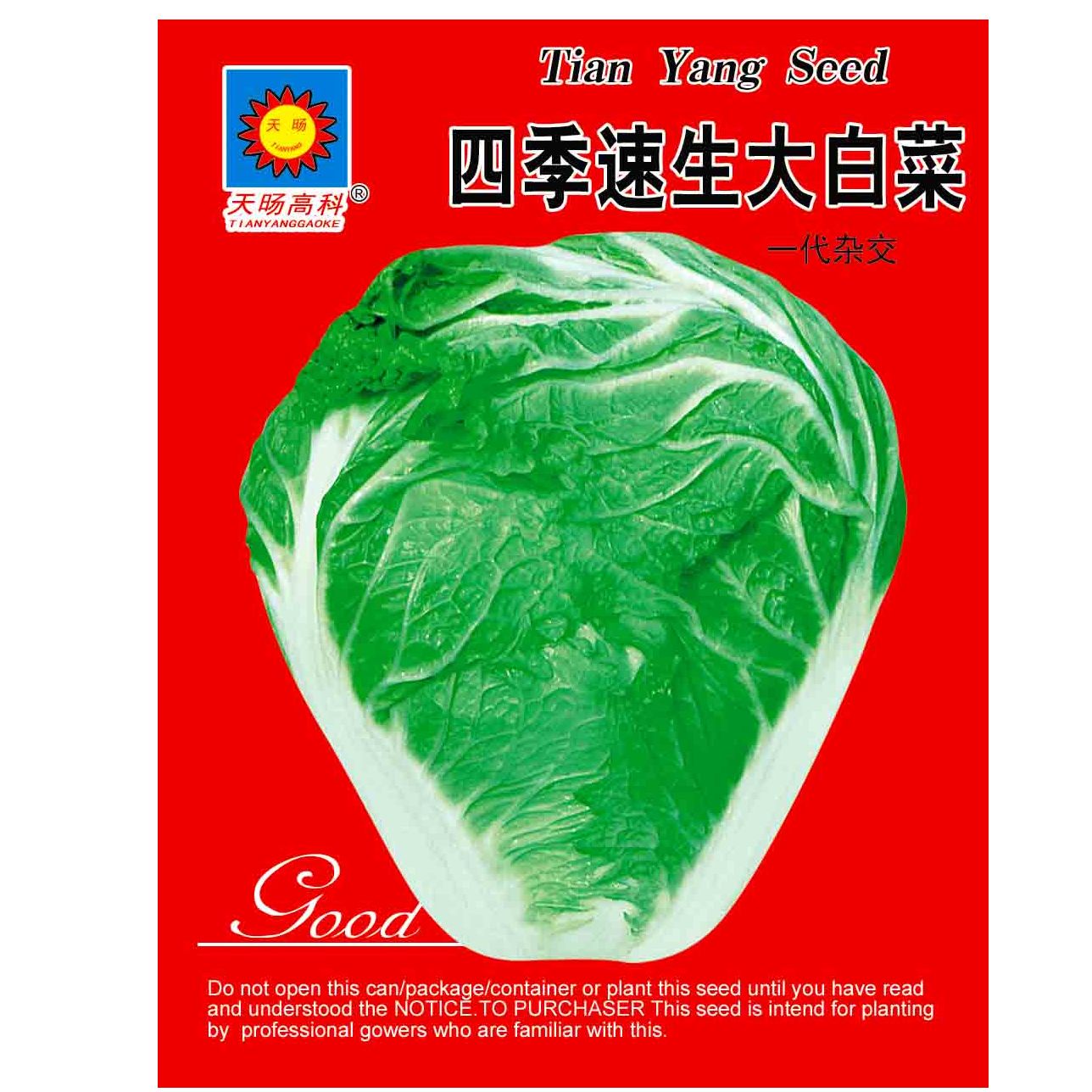 山东六号白菜种子农家高抗易种植大白菜种子