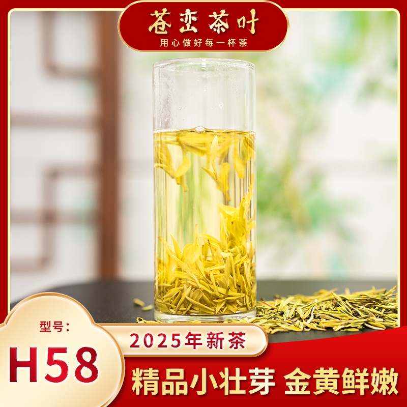 新茶 H58款 开园小壮芽 安吉黄金芽 绿茶 栗香 浓香适合送礼 