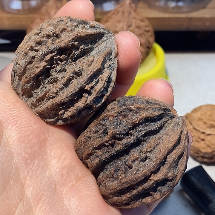 把件文玩核桃6666666666