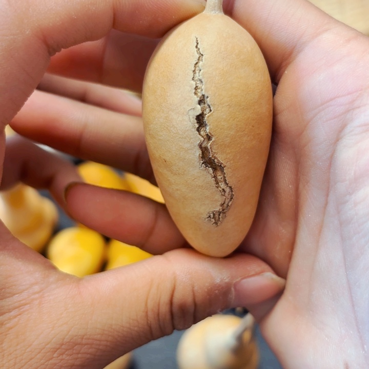 简***装88888888888888888888